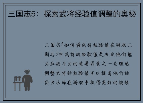 三国志5：探索武将经验值调整的奥秘
